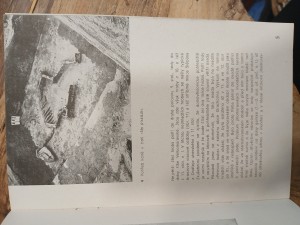 náhled knihy - 