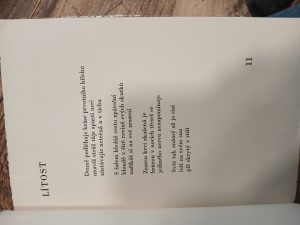 náhled knihy - 