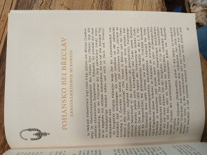 náhled knihy - 