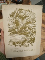 náhled knihy - Z valašské studánky