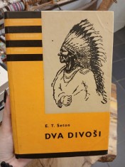 náhled knihy - Dva divoši : O dobrodružstvích dvou chlapců, kteří žili jako Indiáni, a o tom, co všechno se naučili