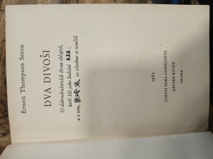 náhled knihy - 