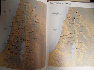 náhled knihy - 