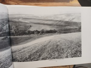 náhled knihy - 