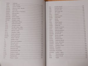 náhled knihy - 
