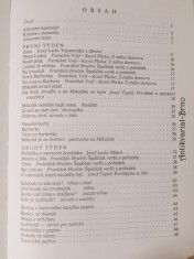 náhled knihy - 