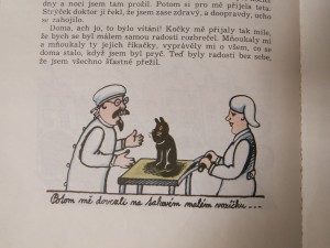 náhled knihy - 