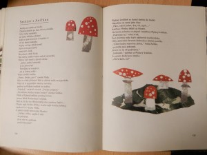 náhled knihy - 
