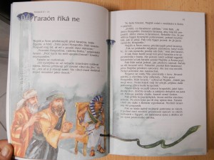 náhled knihy - 