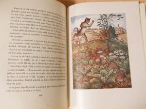 náhled knihy - 