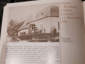 náhled knihy - 