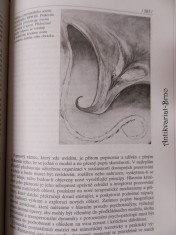 náhled knihy - 