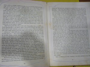 náhled knihy - 