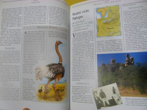 náhled knihy - 