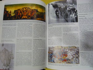náhled knihy - 
