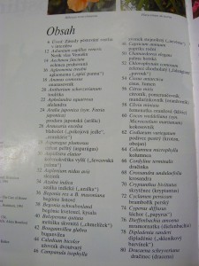 náhled knihy - 