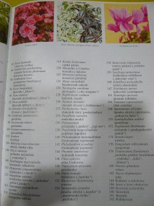 náhled knihy - 