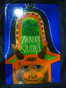 náhled knihy - Zvonová studna