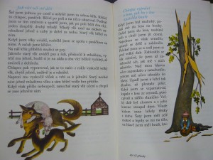 náhled knihy - 
