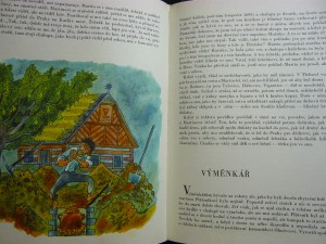 náhled knihy - 