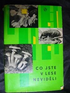 náhled knihy - Co jste v lese neviděli
