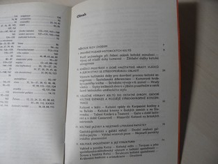 náhled knihy - 