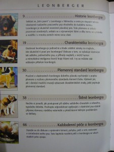 náhled knihy - 