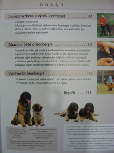 náhled knihy - 