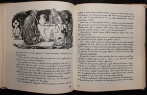 náhled knihy - 