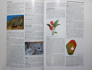 náhled knihy - 