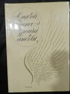 náhled knihy - Vzpoura andělů