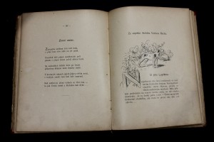 náhled knihy - 