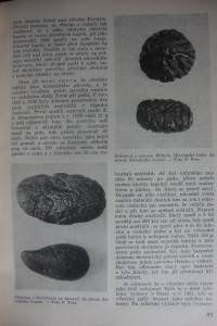 náhled knihy - 