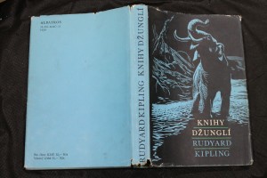 náhled knihy - 