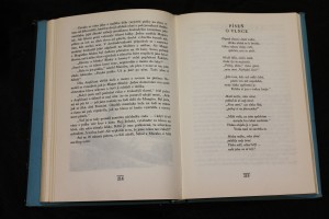 náhled knihy - 