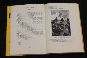náhled knihy - 