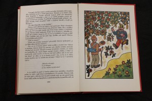 náhled knihy - 
