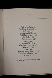 náhled knihy - 