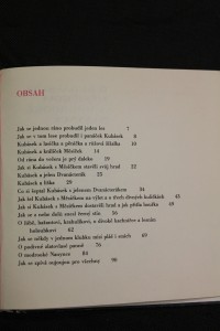 náhled knihy - 