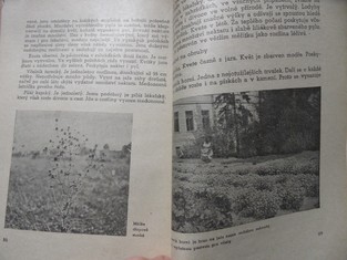 náhled knihy - 