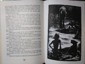 náhled knihy - 