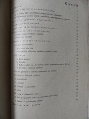 náhled knihy - 
