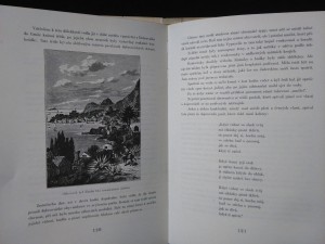 náhled knihy - 