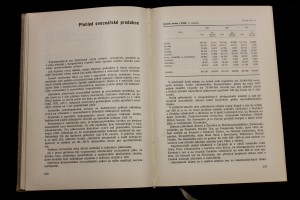 náhled knihy - 
