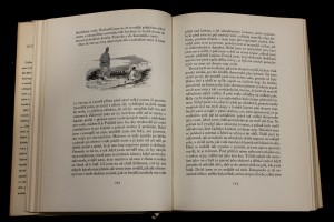 náhled knihy - 