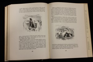 náhled knihy - 