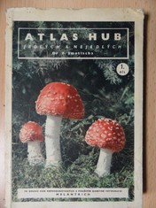 náhled knihy - Atlas hub jedlých a nejedlých 1. díl