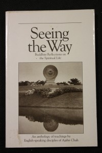 náhled knihy - Seeing the Way, Buddhist Reflections on the Spiritual Life