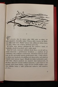 náhled knihy - 