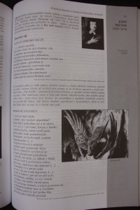 náhled knihy - 